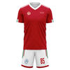 Custom Welsh Team Football Suits Personalized Design Print on Demand Soccer Jerseys