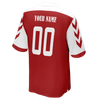 Men's Limited Denmark World Cup Custom Soccer Jersey With Picture